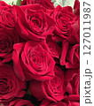 バラの花束 バラの花束 127011987