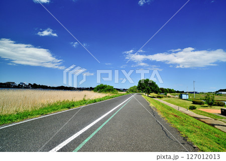 千葉県 手賀沼サイクリングロード 千葉県 手賀沼サイクリングロード 127012013