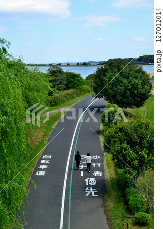 千葉県 手賀沼サイクリングロード 千葉県 手賀沼サイクリングロード 127012014