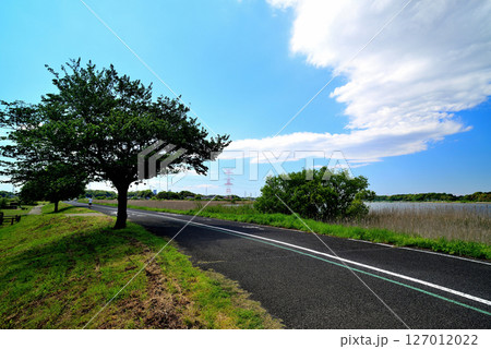 千葉県　手賀沼サイクリングロード 127012022