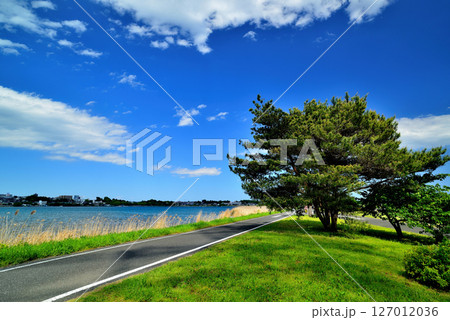 千葉県 手賀沼サイクリングロード 千葉県 手賀沼サイクリングロード 127012036