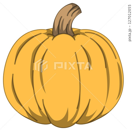 リアルな影付きかぼちゃのベクターイラスト 127012055