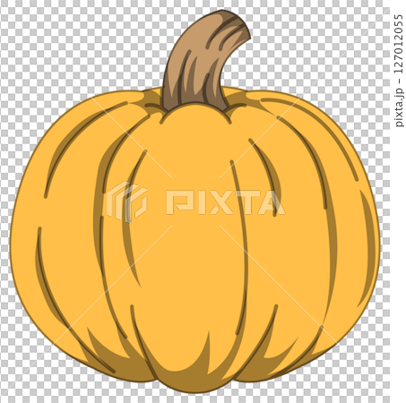 リアルな影付きかぼちゃのベクターイラスト 127012055