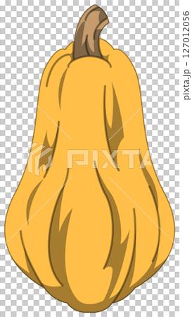 リアルな影付きかぼちゃのベクターイラスト リアルな影付きかぼちゃのベクターイラスト 127012056