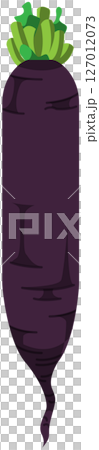 リアルな影付き大根のベクターイラスト 127012073