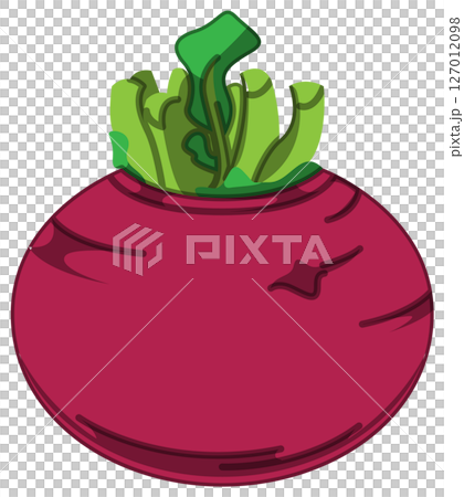 リアルな影付きかぶのベクターイラスト リアルな影付きかぶのベクターイラスト 127012098