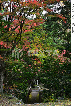 竹谷山渓谷の紅葉 127012227