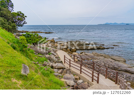 (長崎県)佐世保市・神崎鼻 日本本土最西端 海岸遊歩道 (長崎県)佐世保市・神崎鼻 日本本土最西端 海岸遊歩道 127012260