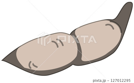 リアルな影付き枝豆のベクターイラスト 127012295
