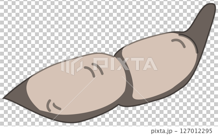 リアルな影付き枝豆のベクターイラスト 127012295