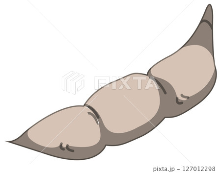 リアルな影付き枝豆のベクターイラスト 127012298