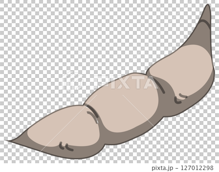 リアルな影付き枝豆のベクターイラスト 127012298