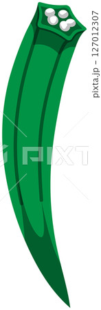リアルな影付きオクラのベクターイラスト リアルな影付きオクラのベクターイラスト 127012307