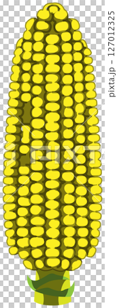 具有逼真陰影的玉米向量插圖 具有逼真陰影的玉米向量插圖 127012325