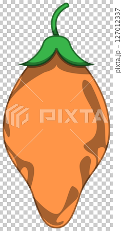 リアルな影付きとうがらしのベクターイラスト リアルな影付きとうがらしのベクターイラスト 127012337