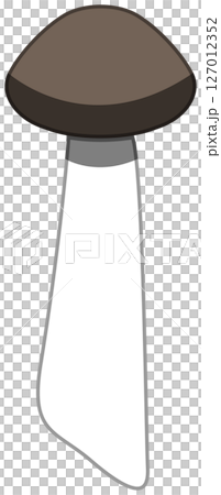 Vector illustration of Shimeji mushroom with realistic shadow Vector illustration of Shimeji mushroom with realistic shadow 127012352