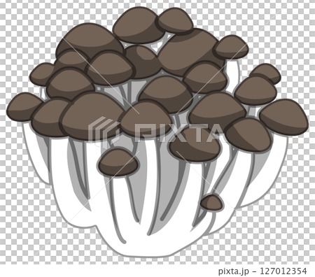 リアルな影付きしめじのベクターイラスト 127012354