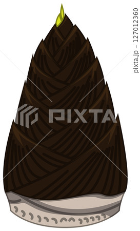 リアルな影付きたけのこのベクターイラスト リアルな影付きたけのこのベクターイラスト 127012360