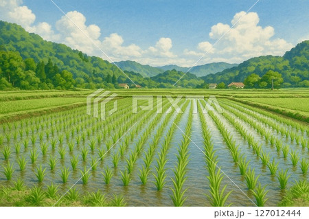 夏の田園風景 127012444