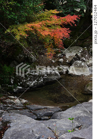 竹谷山渓谷の紅葉 竹谷山渓谷の紅葉 127012464