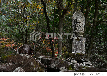 竹谷山渓谷の紅葉 127012465