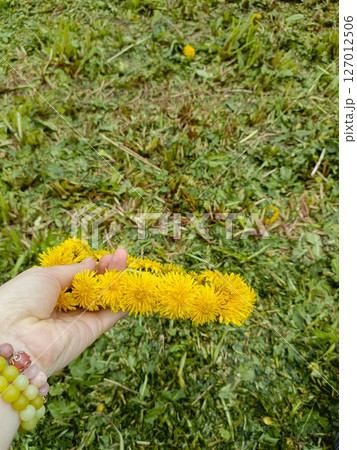 Person's Hand with Multi-Colored Beaded Bracelet Delicately Holding Handcrafted Yellow Dandelion Garland, Showcasing Natural Beauty and Springtime Craftsmanship, Against Freshly Cut Grass Person's Hand with Multi-Colored Beaded Bracelet Delicately Holding Handcrafted Yellow Dandelion Garland, Showcasing Natural Beauty and Springtime Craftsmanship, Against Freshly Cut Grass 127012506