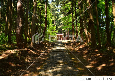 福島県猪苗代町字見禰山の會津守護神 土津(はにつ)神社 奥の院参道 福島県猪苗代町字見禰山の會津守護神 土津(はにつ)神社 奥の院参道 127012578