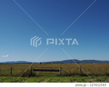 Bruce Hwy 沿いの Pindi Pindi付近の風景　クィーンズランド　オーストラリア 127012583