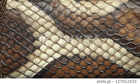 リアルなヘビ柄の背景 リアルなヘビ柄の背景 127012810