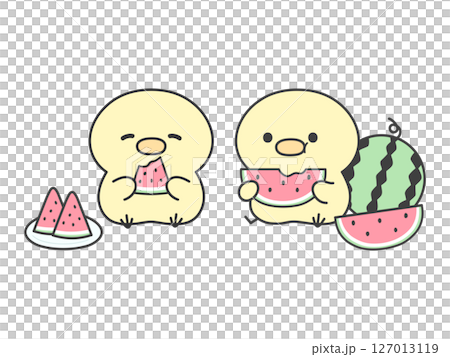 カットされたスイカを座って食べるかわいい2匹のひよこイラスト 127013119