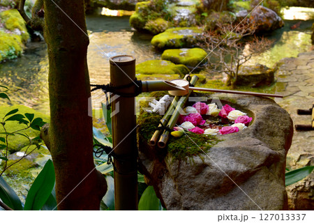 水に浮かぶバラの花手水 水に浮かぶバラの花手水 127013337