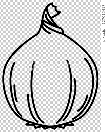 Simple and clean onion line drawing Simple and clean onion line drawing 127013417