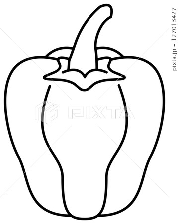 シンプルですっきりしたパプリカの線画 127013427