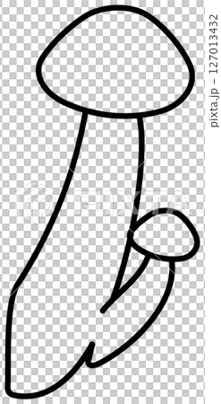 シンプルですっきりしたしめじの線画 シンプルですっきりしたしめじの線画 127013432