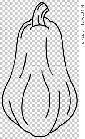 シンプルですっきりしたかぼちゃの線画 127013444