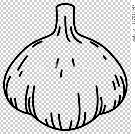 Simple and clean garlic line drawing 127013447