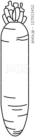 シンプルですっきりした大根の線画 127013452