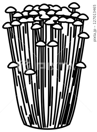 シンプルですっきりしたえのきの線画 シンプルですっきりしたえのきの線画 127013465