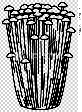 シンプルですっきりしたえのきの線画 シンプルですっきりしたえのきの線画 127013465