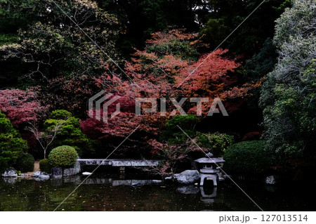 秋の友泉亭 127013514