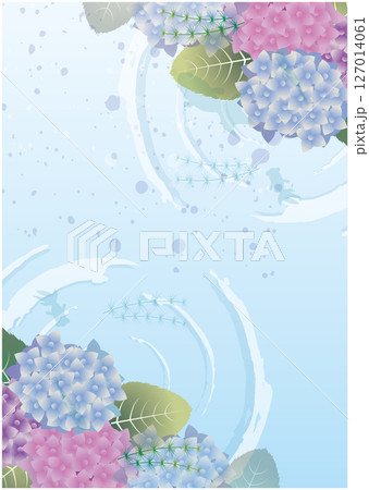 夏の梅雨の紫陽花風景 夏の梅雨の紫陽花風景 127014061