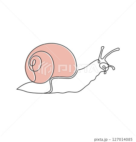 Continuous line drawing of conch snail shell. Minimalist black linear sketch isolated on white background. Hand drawn vector illustration. 127014085