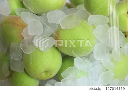 保存瓶の中の青梅と氷砂糖のアップ 保存瓶の中の青梅と氷砂糖のアップ 127014159