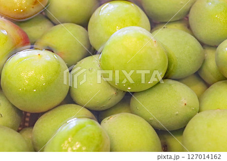 収穫した青梅を洗う 127014162