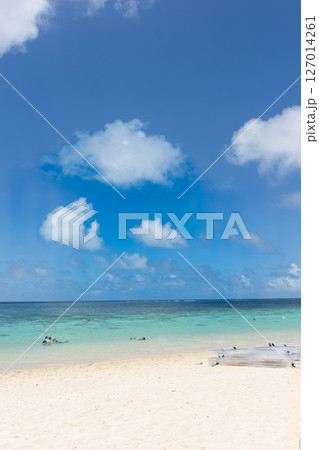 サンゴ礁と白い砂浜 127014261