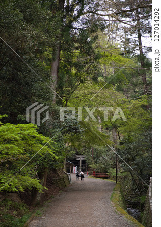 鞍馬寺　心臓破りの参道を力を合わせてお参りする1 127014292