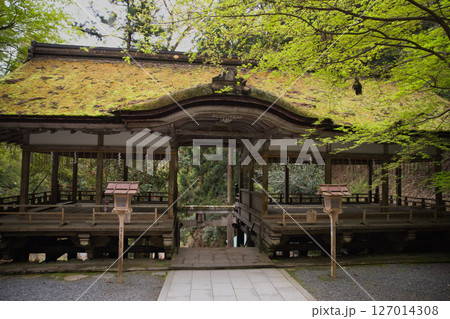 由岐神社　新緑の中の拝殿5 127014308