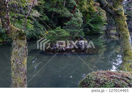 Bonsai style pine trees arranged on small stone island in tranquil pond in Kenrokuen Garden 127014465