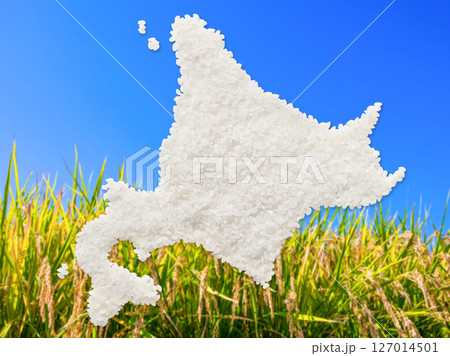 米で作った北海道の地図 127014501