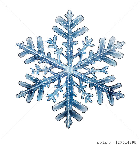 Close up of sparkling snowflake with intricate ice crystal 127014599